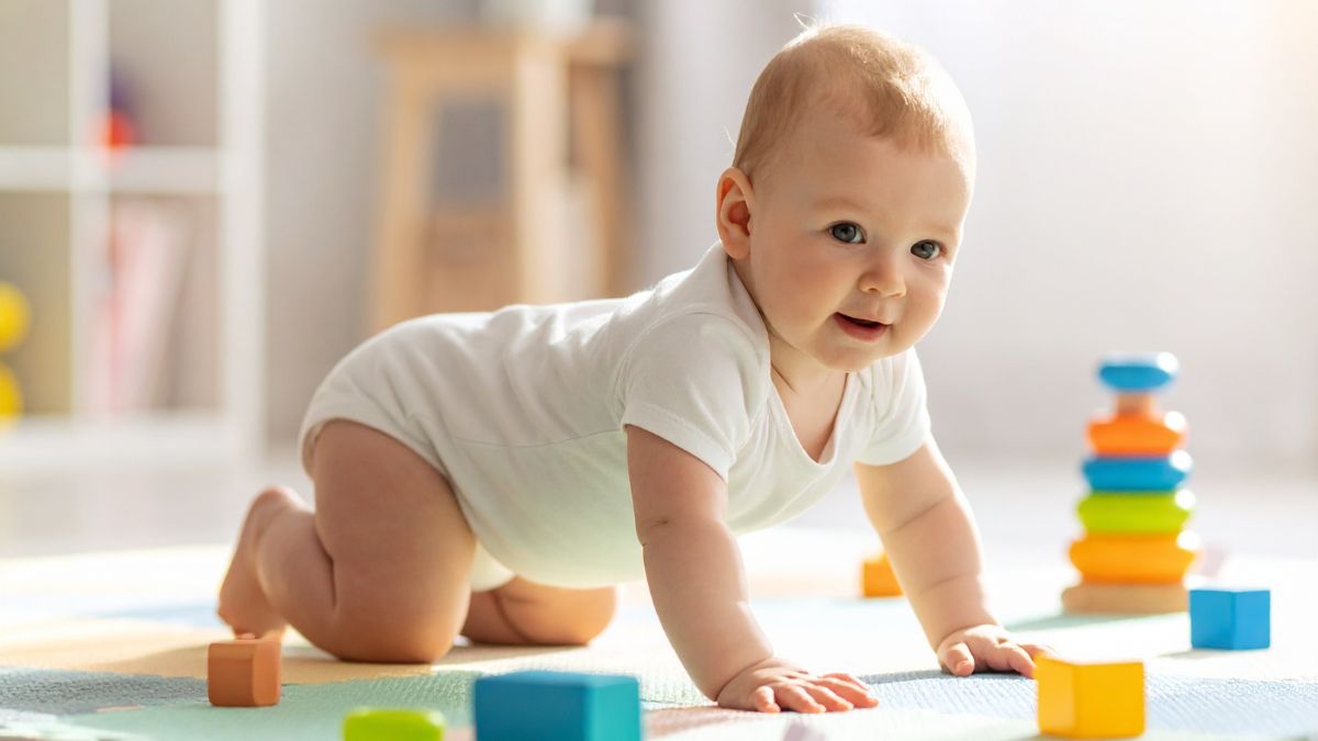 Hitos del desarrollo